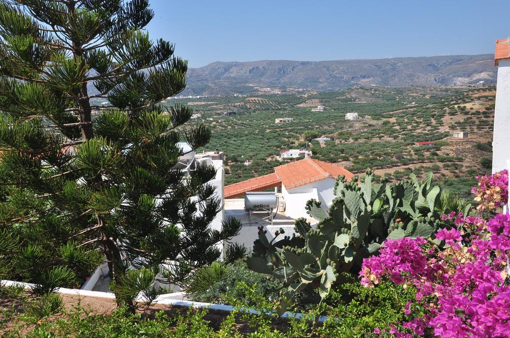 Castri Village Hotel Palékasztro Kültér fotó